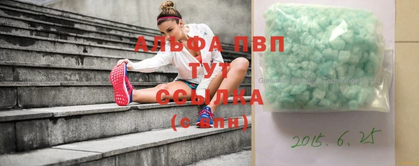 хмурый Вяземский