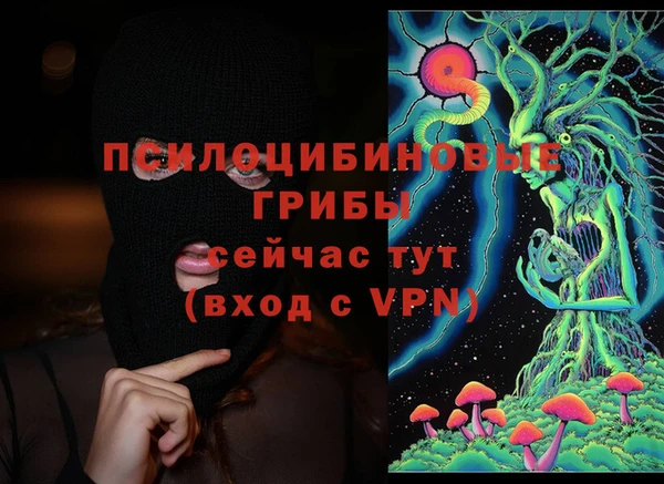 хмурый Вяземский