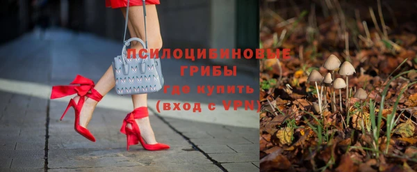 хмурый Вяземский