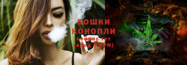хмурый Вяземский