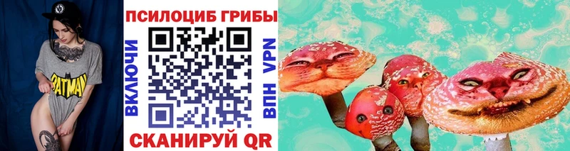 площадка формула  Знаменск  Псилоцибиновые грибы MAGIC MUSHROOMS 