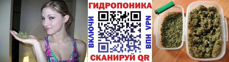 купить наркотик  KRAKEN как войти  МАРИХУАНА планчик  Знаменск 
